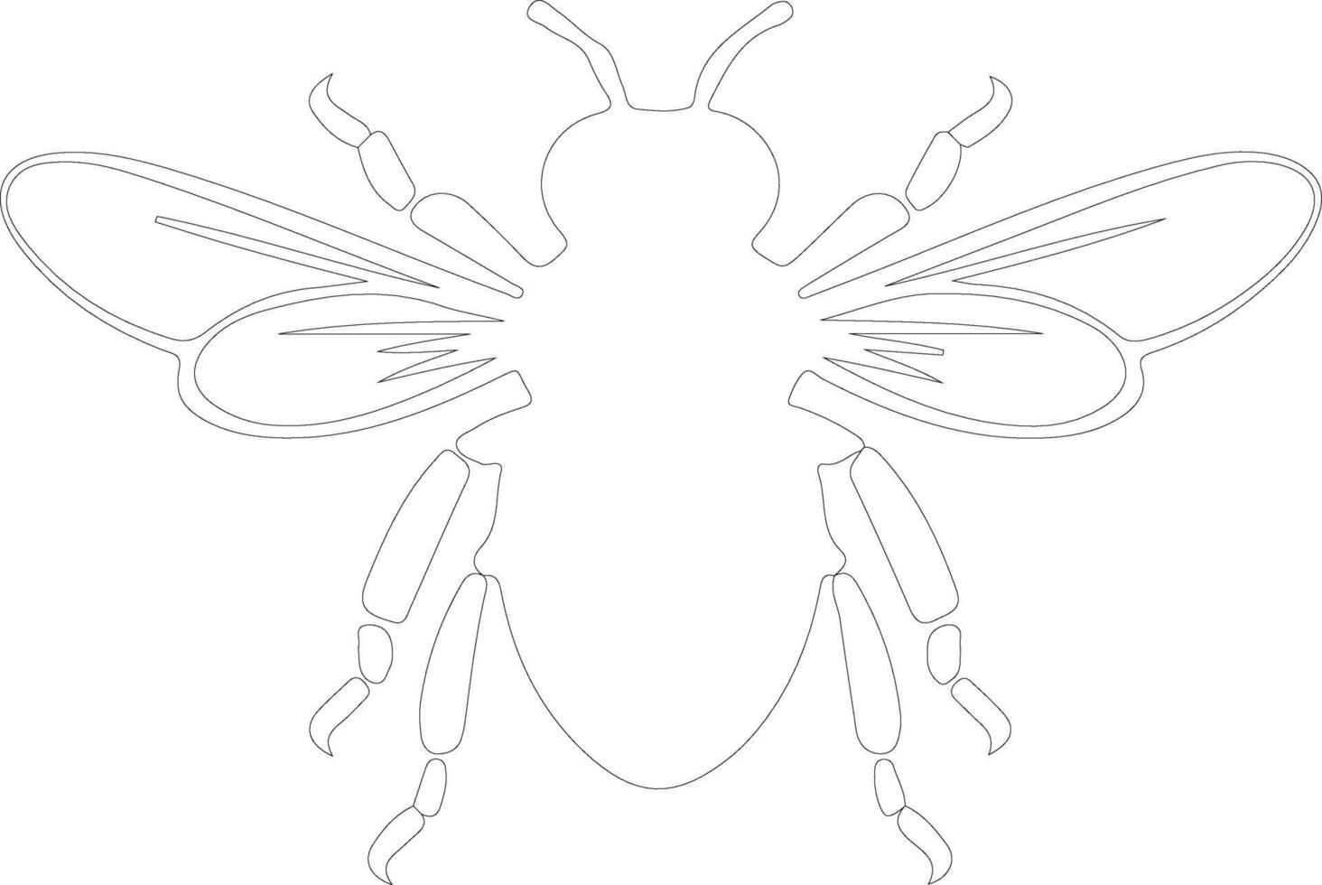 bee  outline silhouette vector