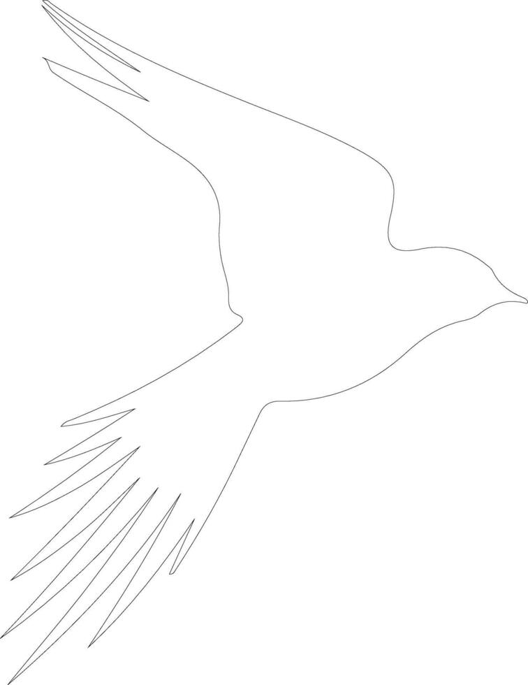 Arctic tern  outline silhouette vector