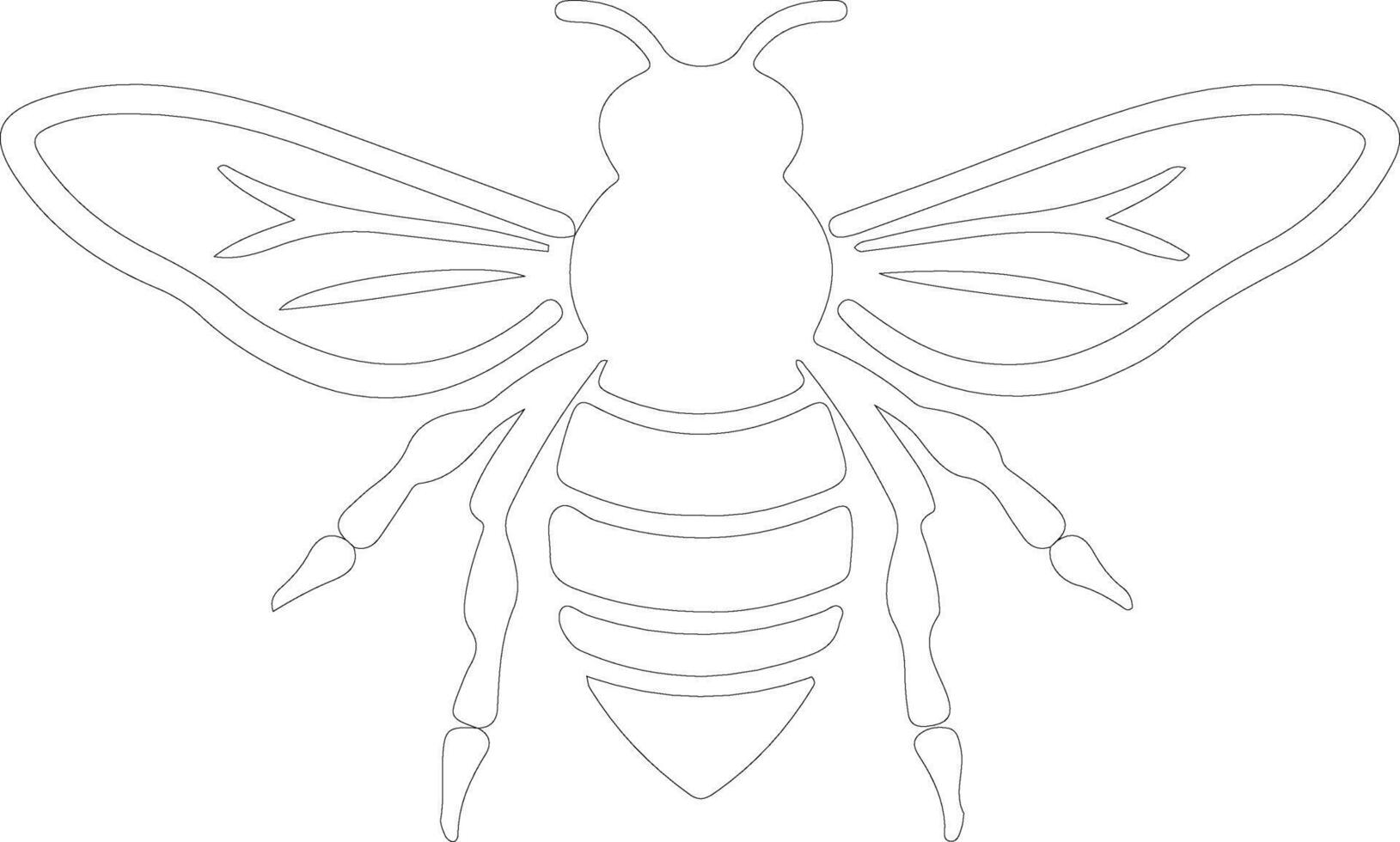 bee  outline silhouette vector
