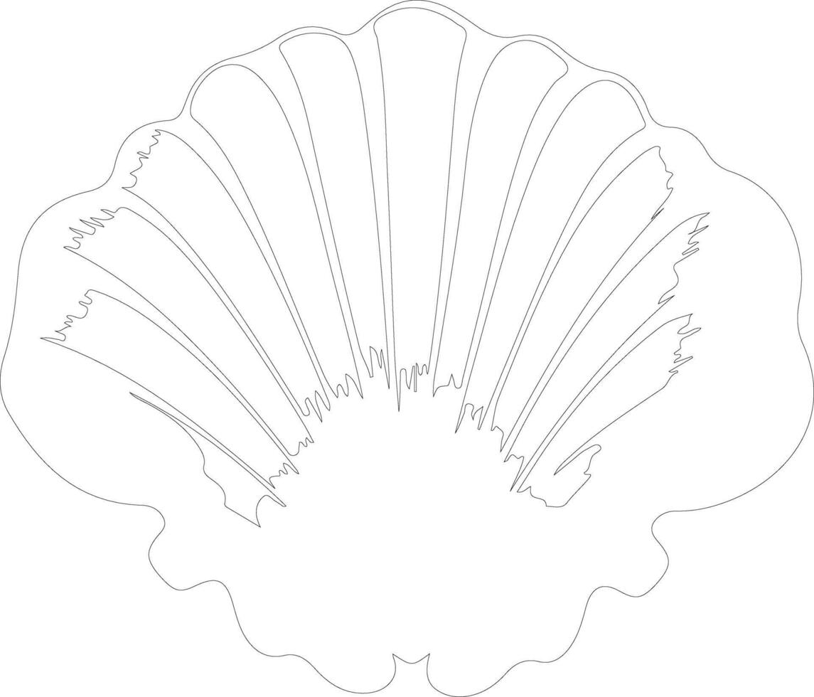 bivalve  outline silhouette vector