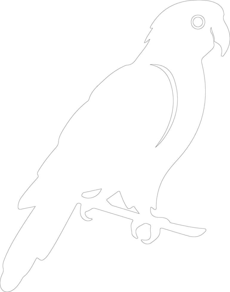 African gray parrot  outline silhouette vector