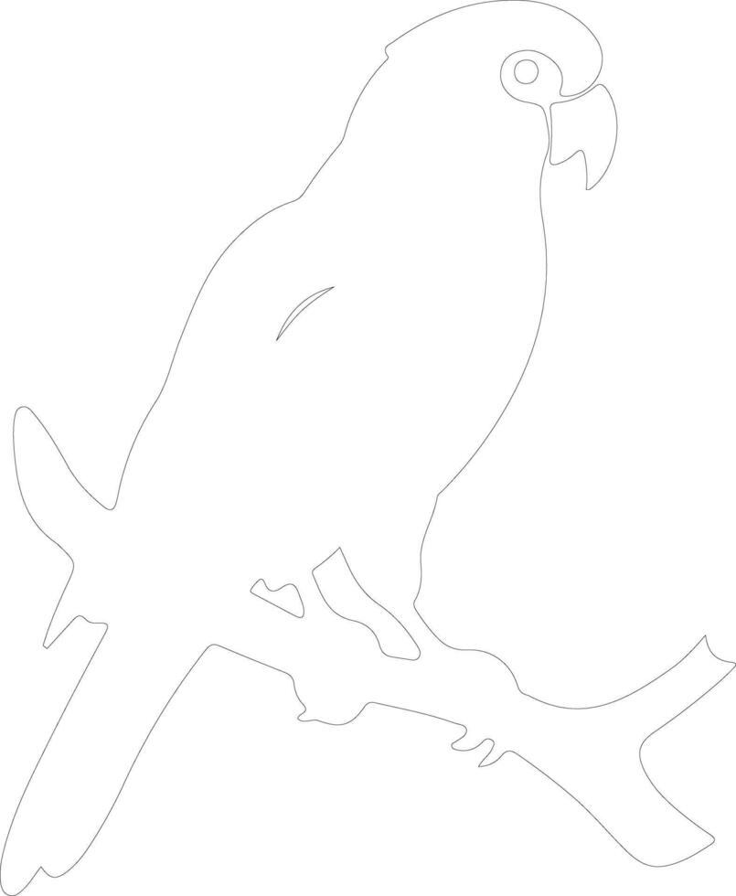 African gray parrot  outline silhouette vector