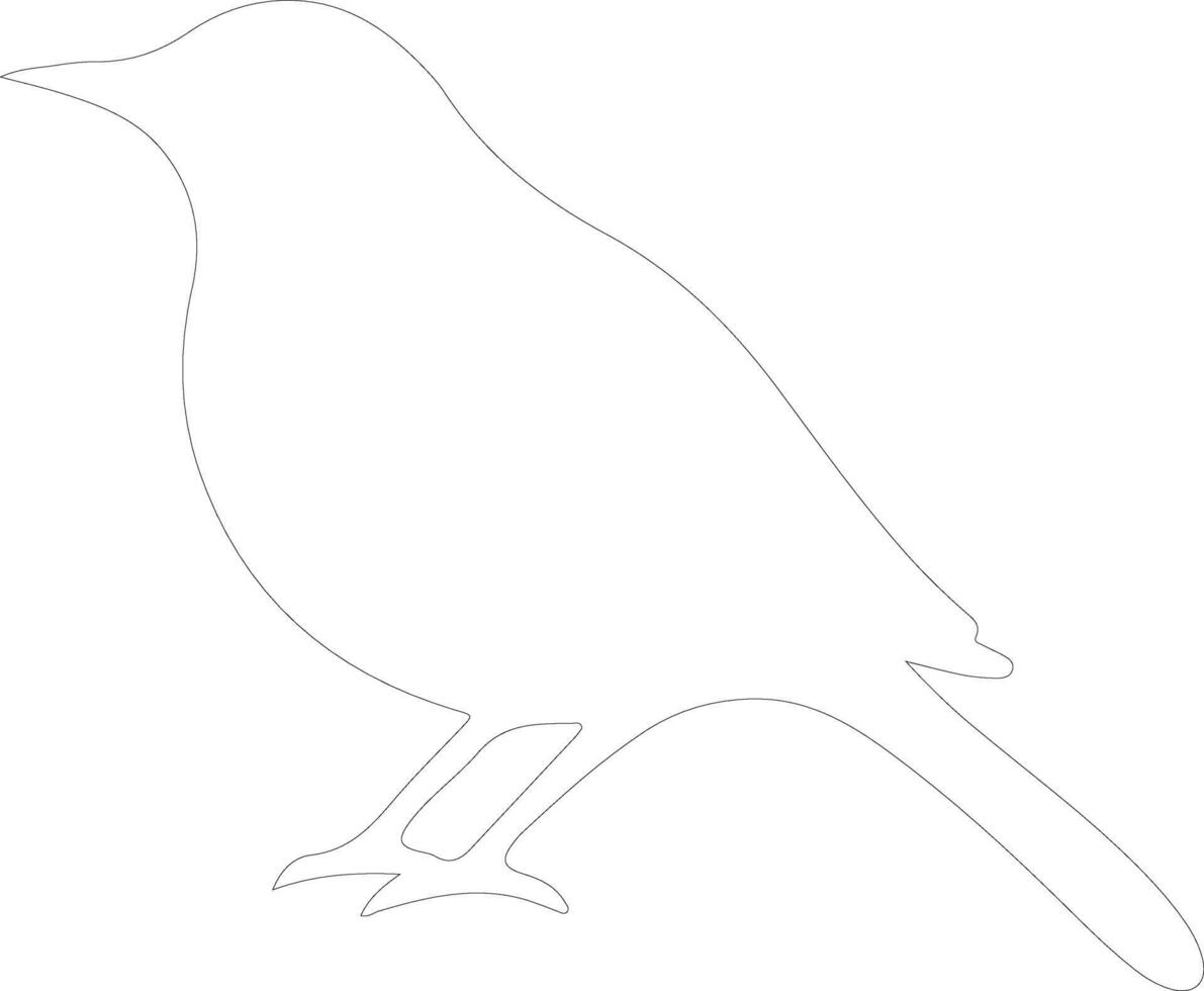 blackbird  outline silhouette vector