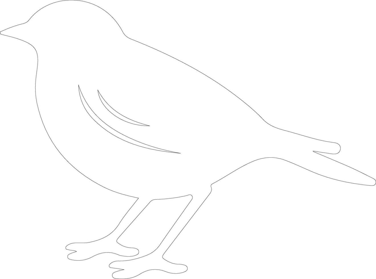 American Robin  outline silhouette vector
