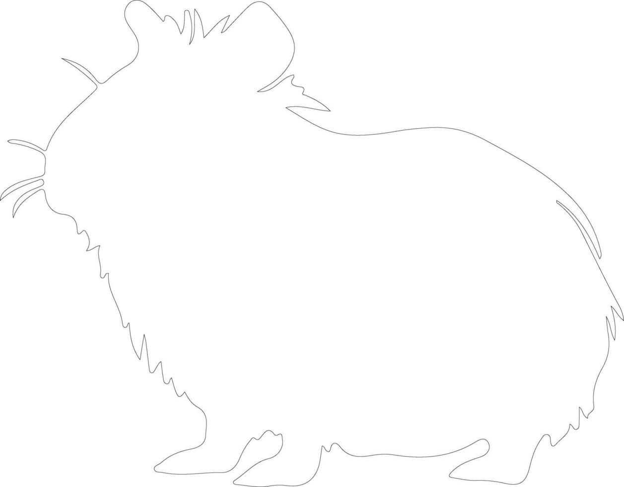 cavy outline silhouette vector