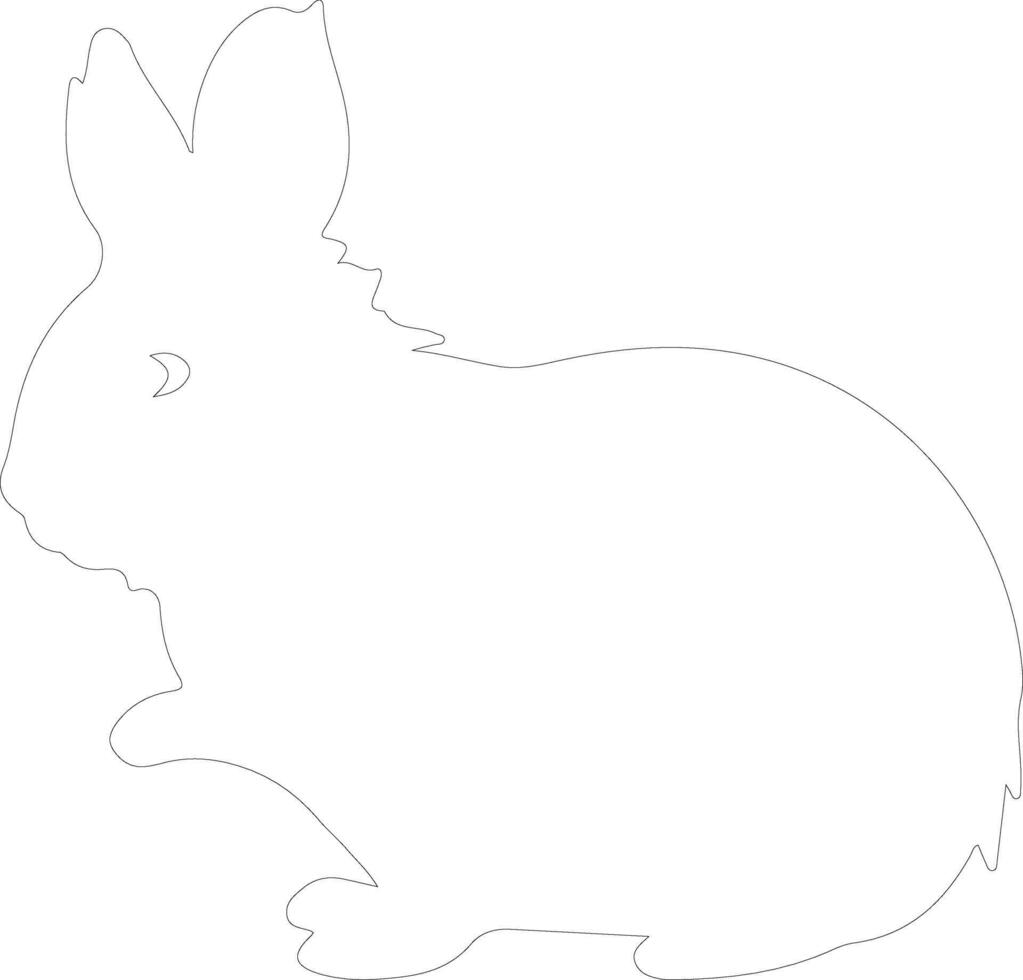 chinchilla outline silhouette vector