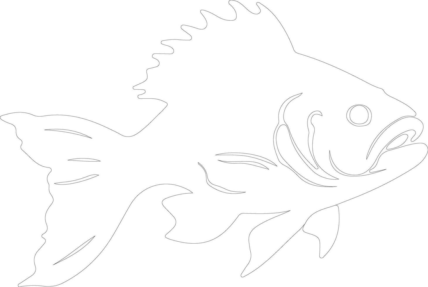 coelacanth outline silhouette vector