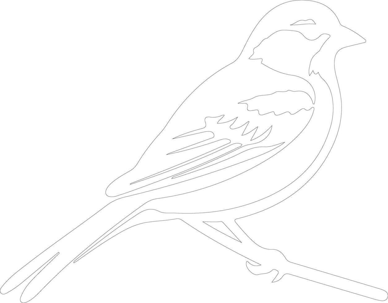 American tree sparrow  outline silhouette vector