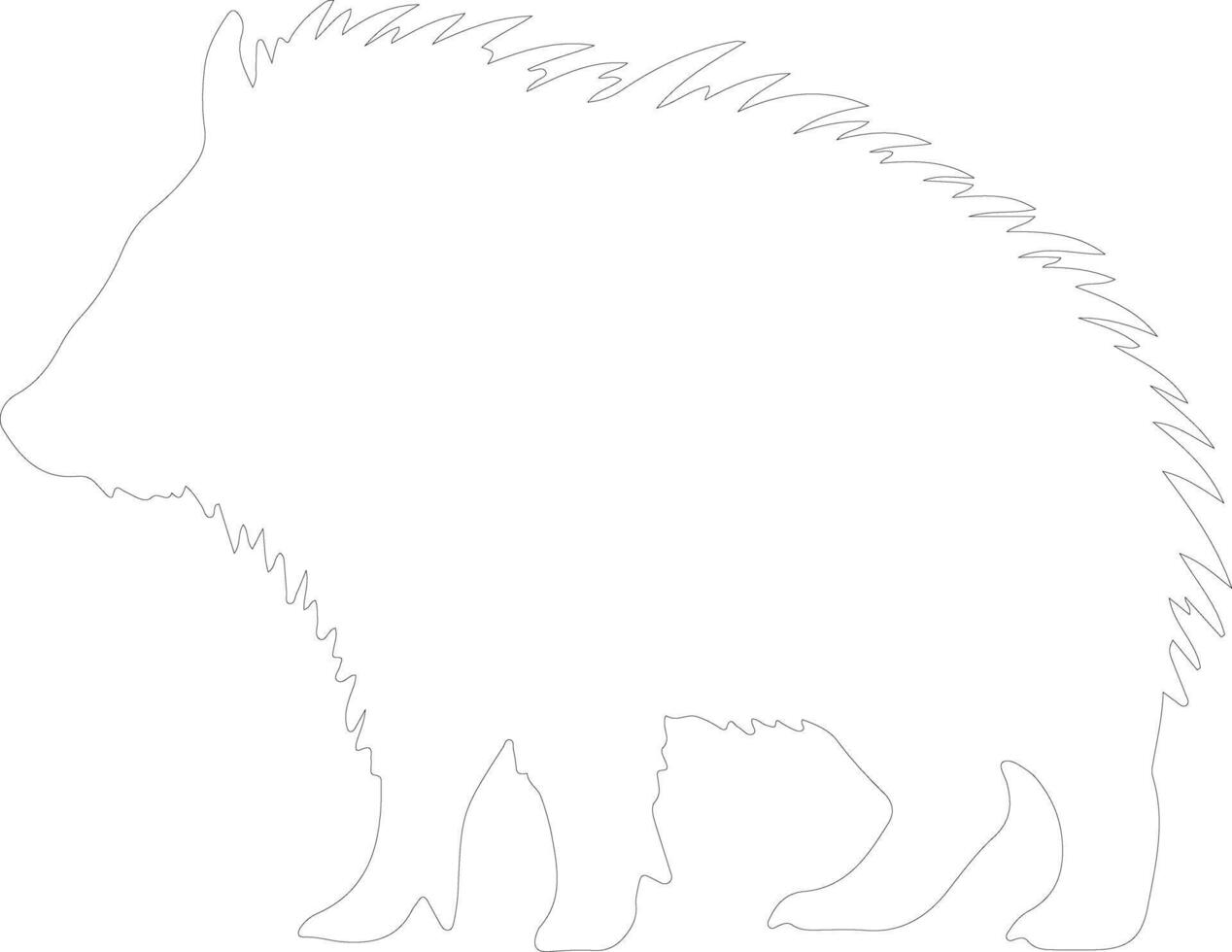 collaredpeccary outline silhouette vector
