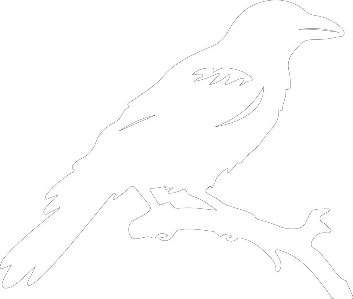 crow outline silhouette vector