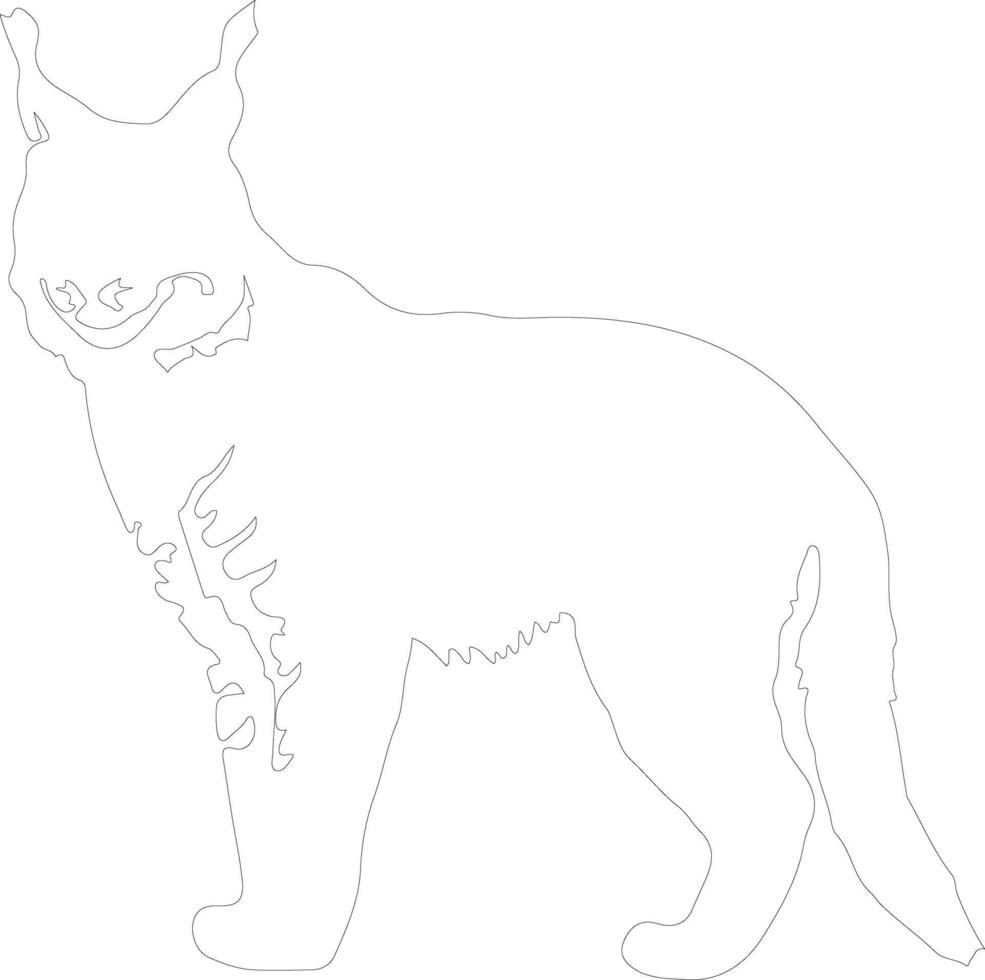 bobcat outline silhouette vector