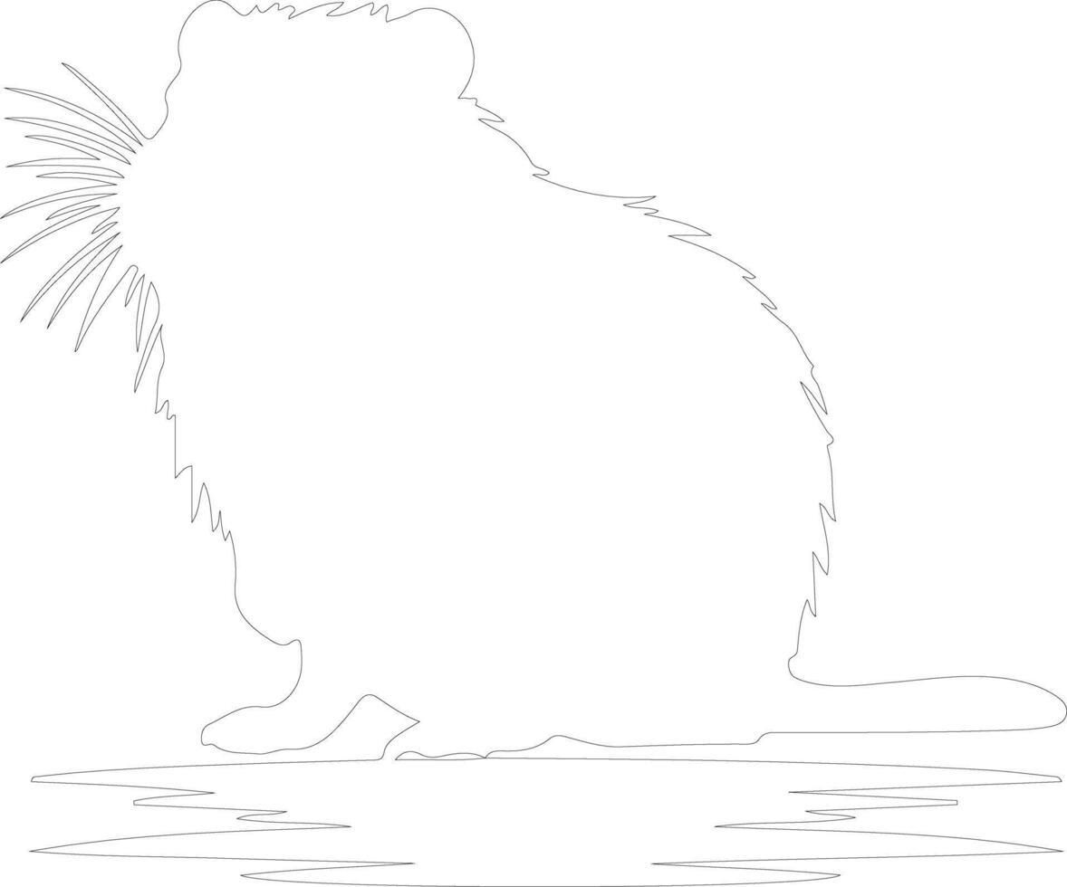 coypu outline silhouette vector