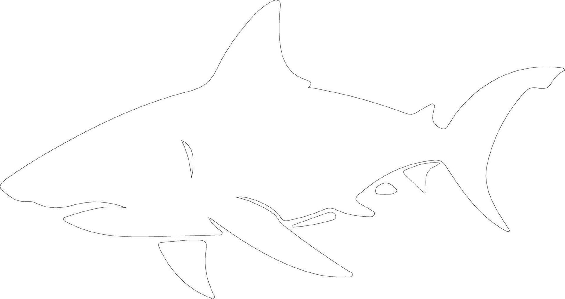 bullshark outline silhouette vector