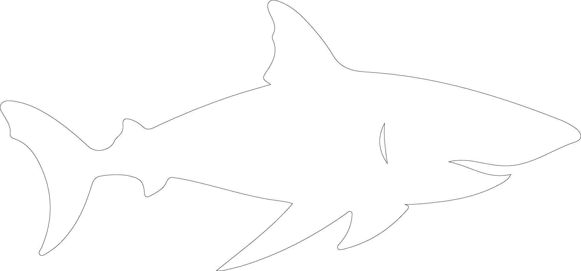 bullshark outline silhouette vector