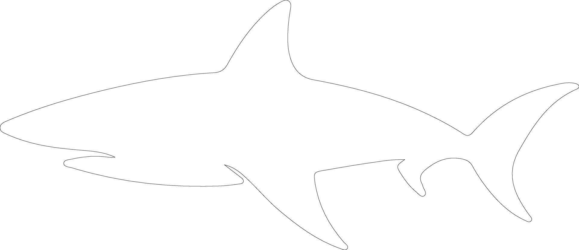 Galapagos shark   outline silhouette vector