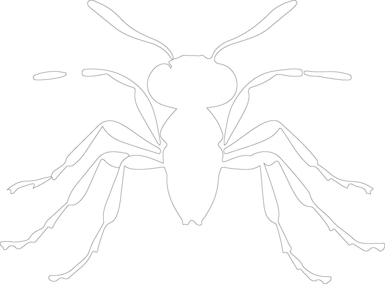 carpenterant outline silhouette vector