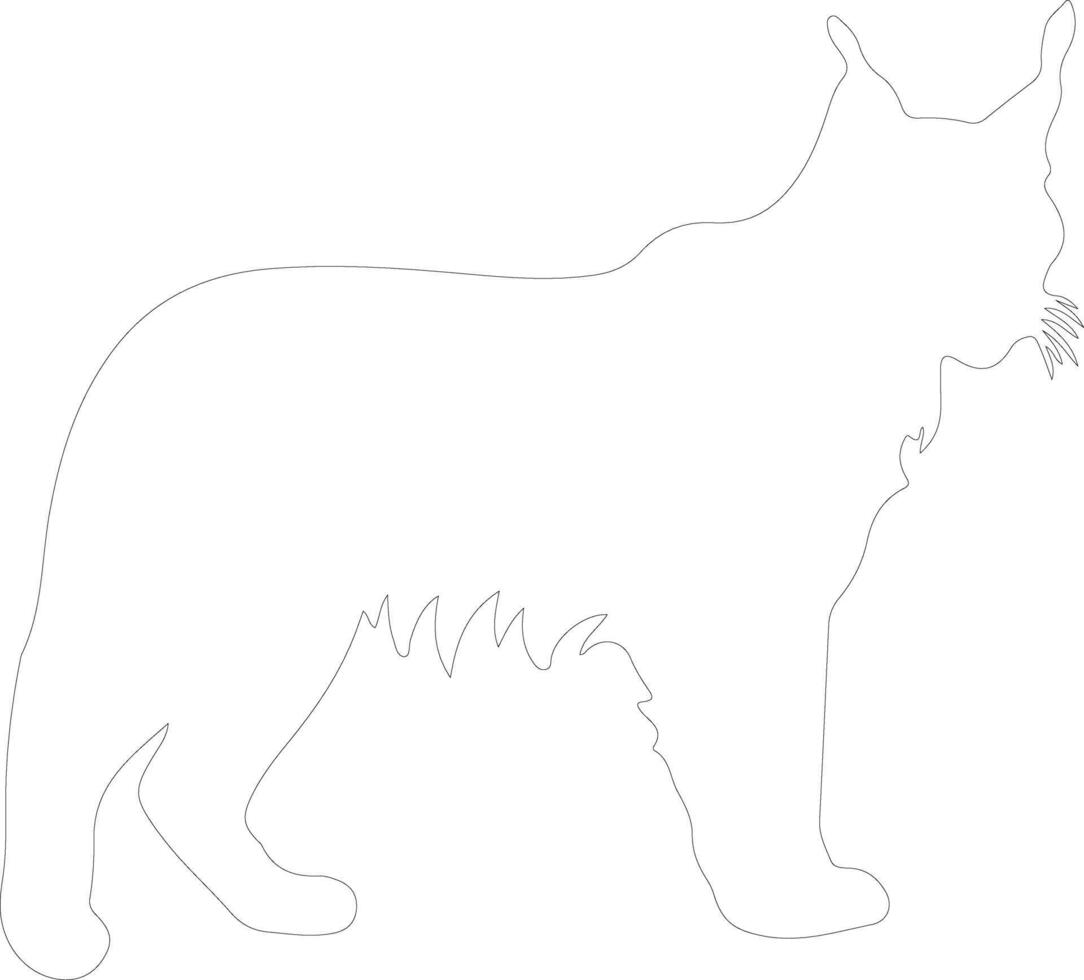 bobcat outline silhouette vector