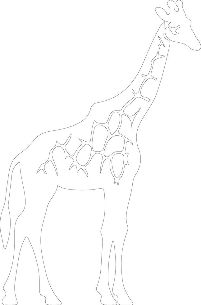 giraffe    outline silhouette vector