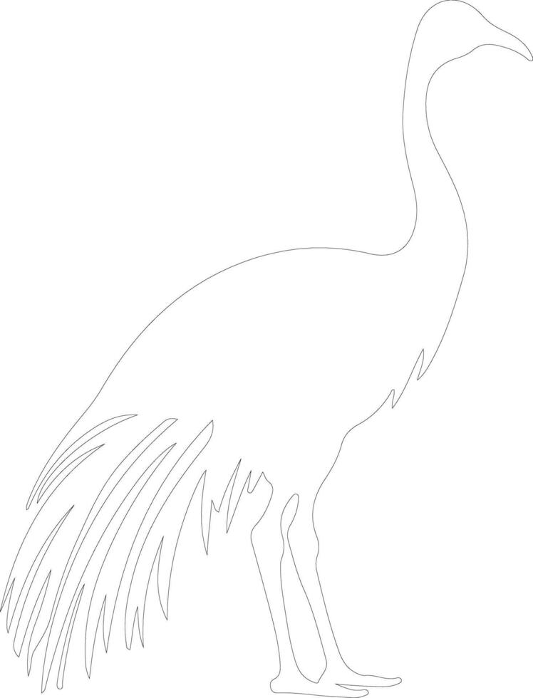 cassowary outline silhouette vector