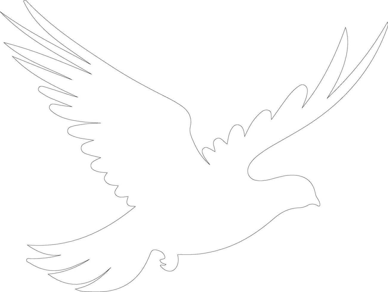 dove    outline silhouette vector