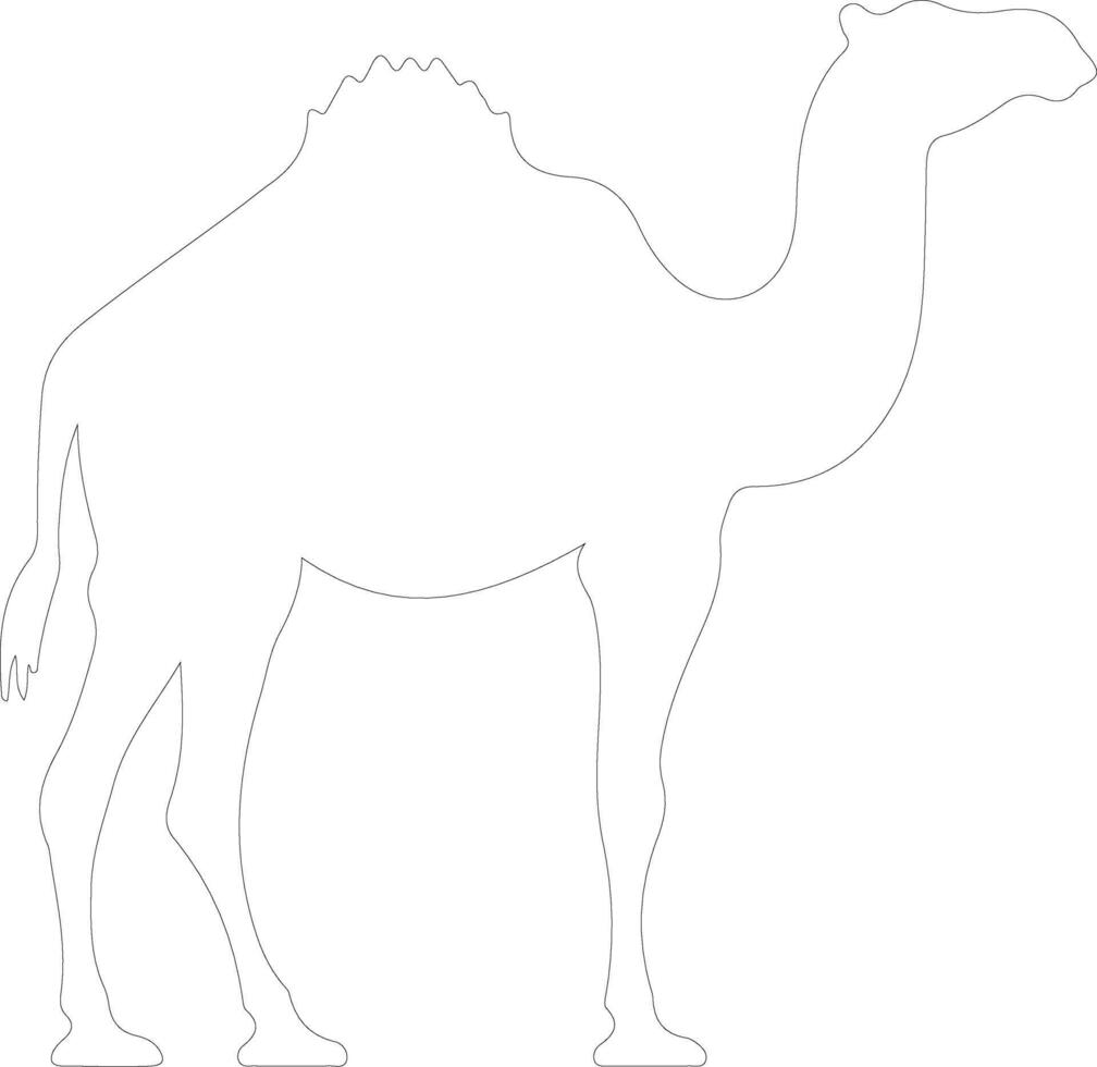 dromedary    outline silhouette vector