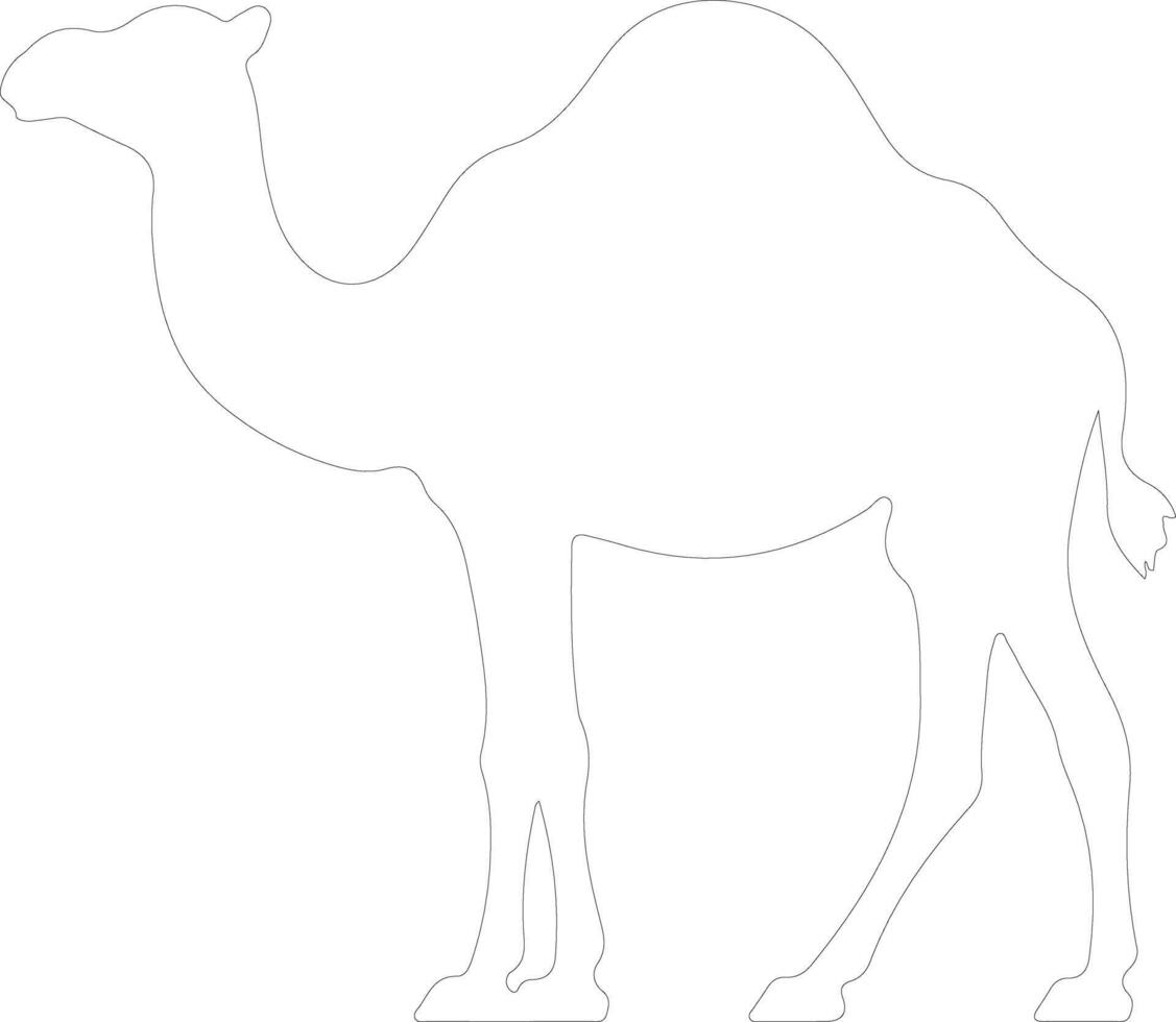 dromedary   outline silhouette vector