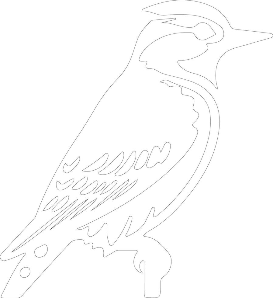 downy woodpecker    outline silhouette vector
