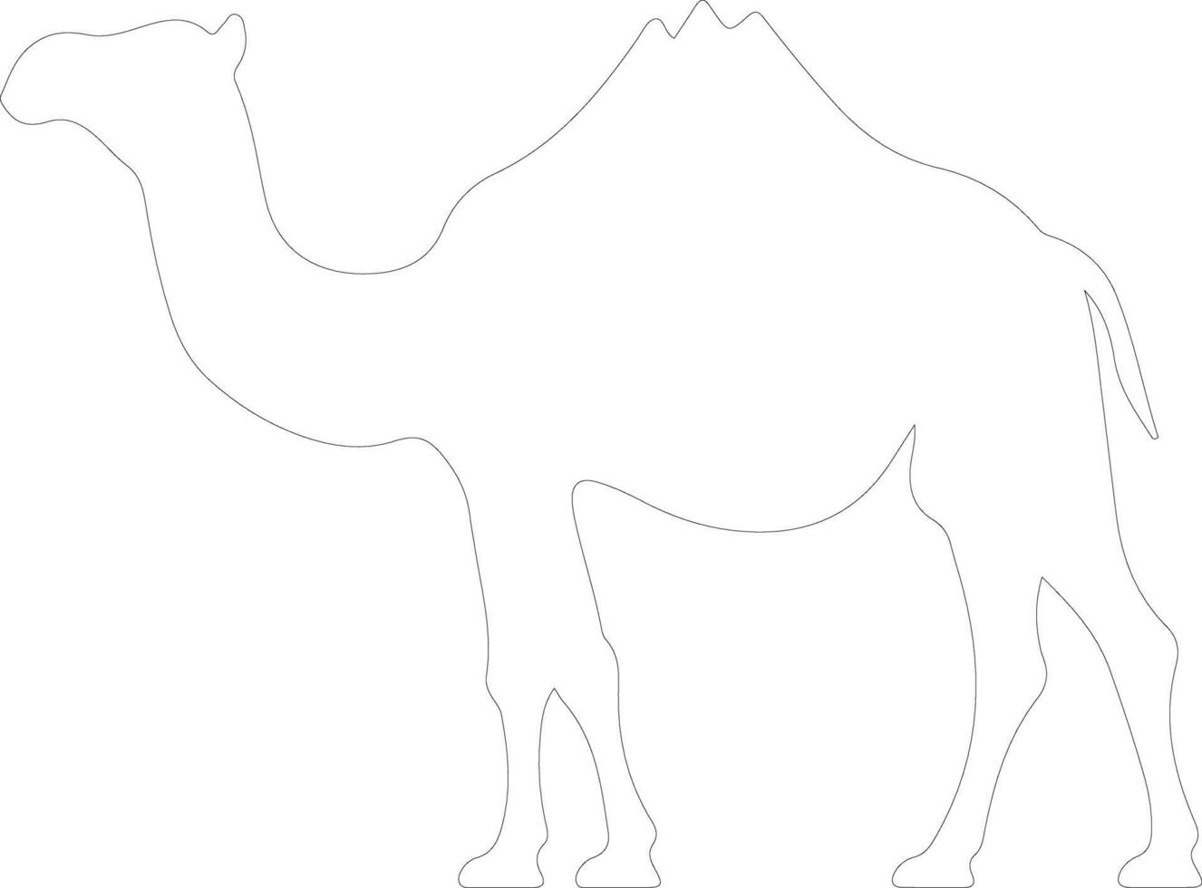 dromedary   outline silhouette vector