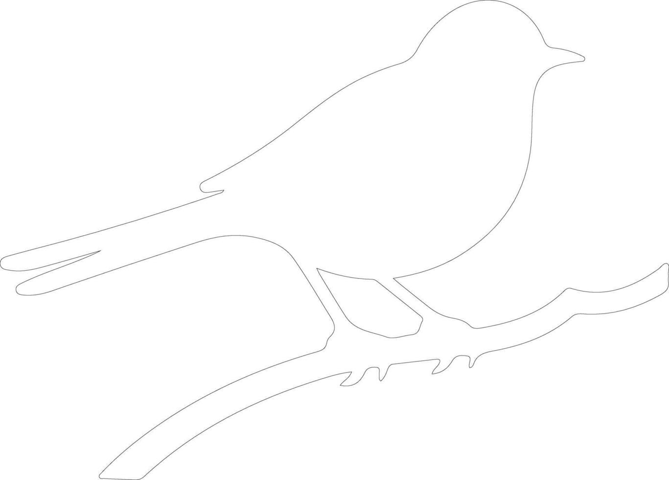 eastern bluebird   outline silhouette vector