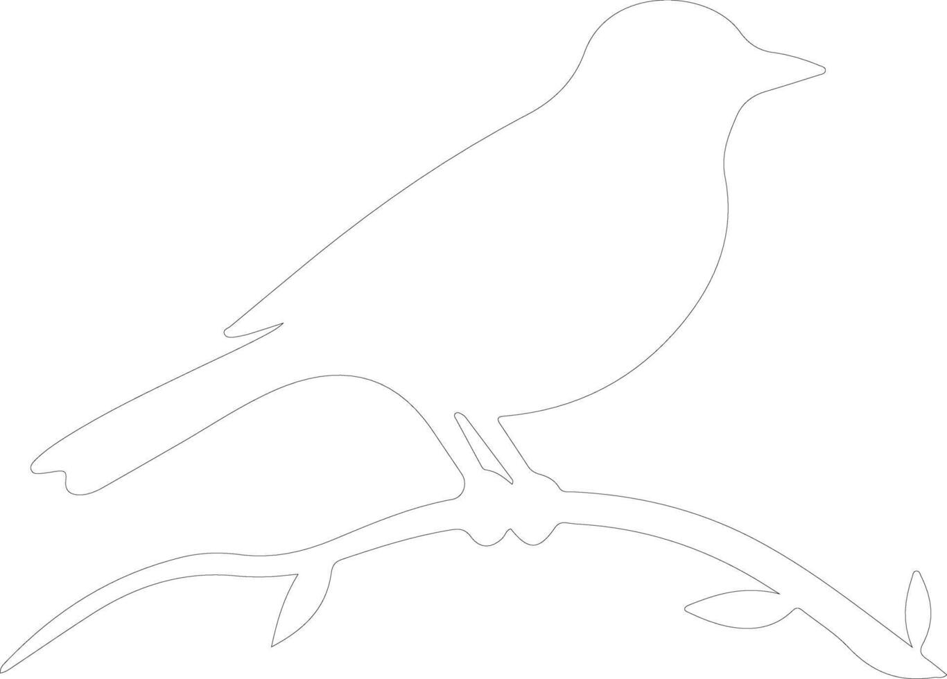 eastern bluebird   outline silhouette vector