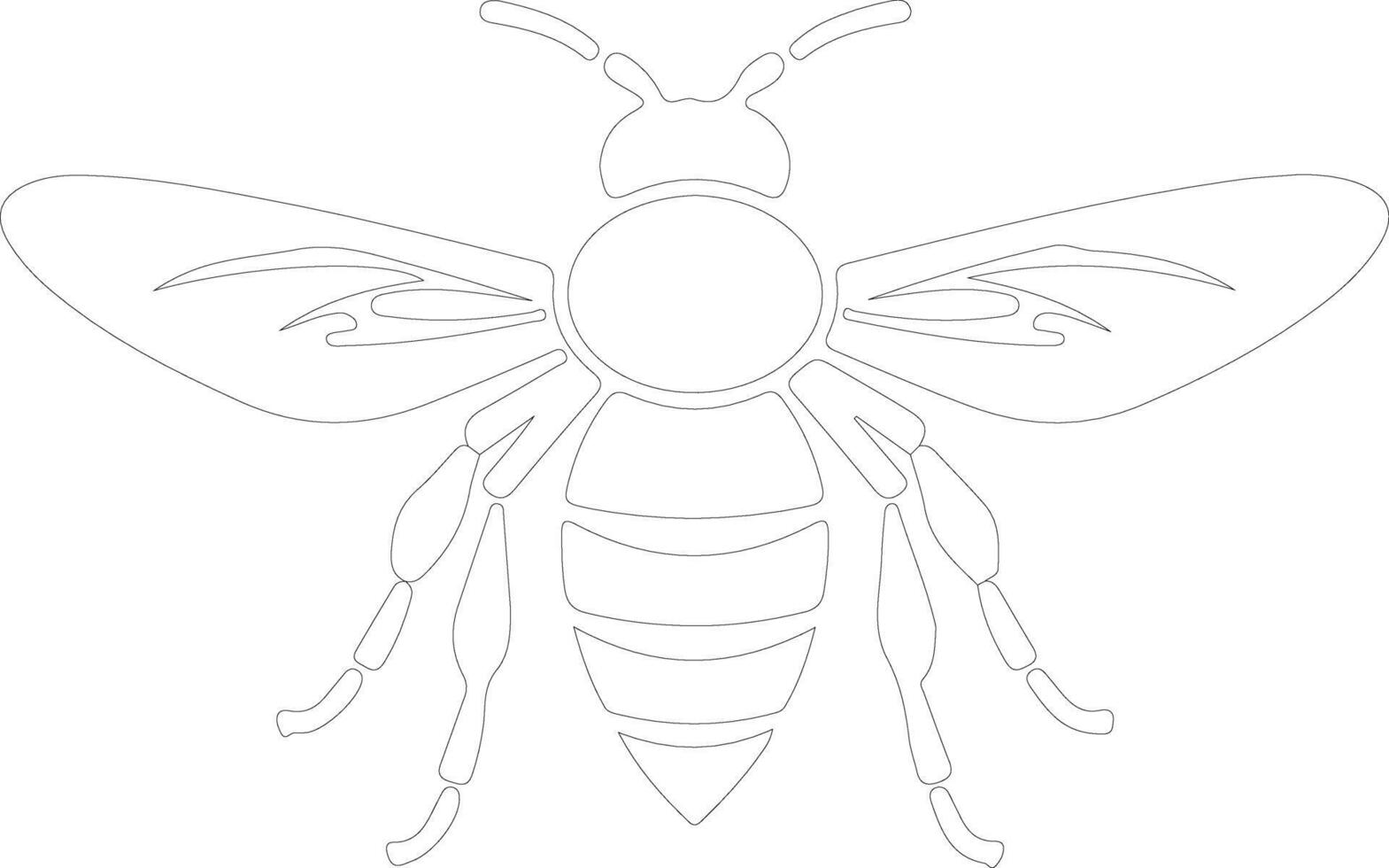 hornet  outline silhouette vector