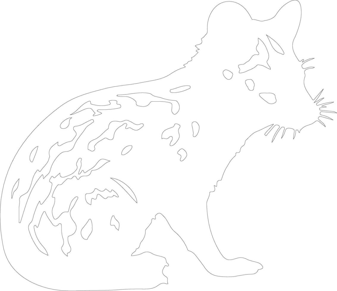 eastern quoll   outline silhouette vector