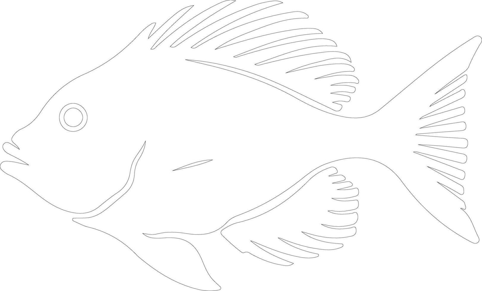 John Dory  outline silhouette vector