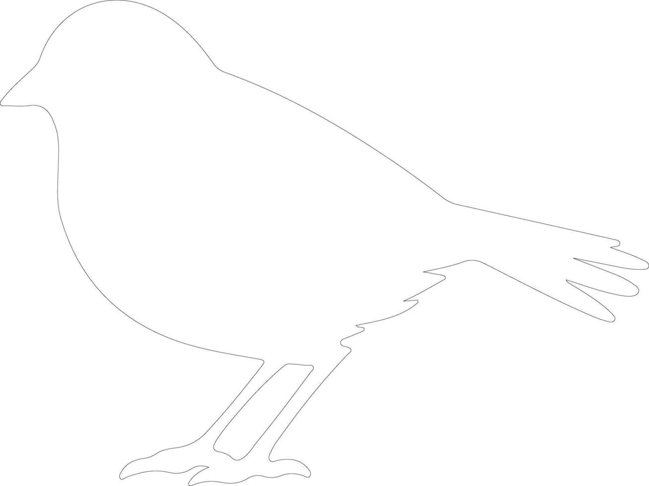 junco  outline silhouette vector