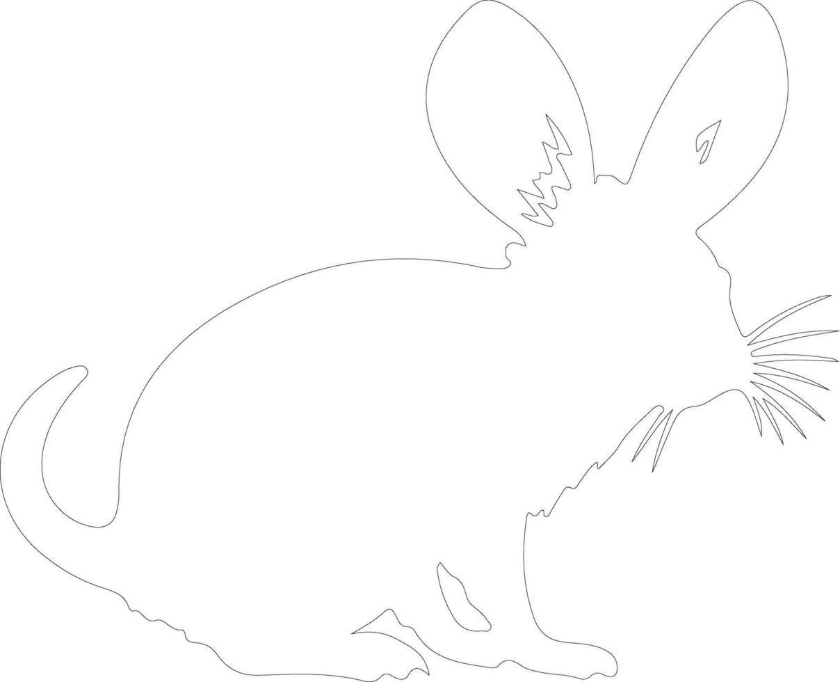 jerboa  outline silhouette vector