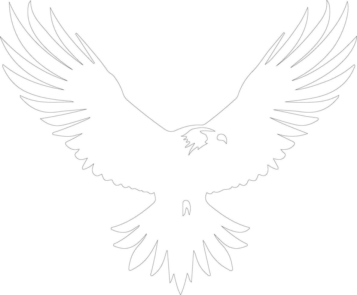 eagle   outline silhouette vector