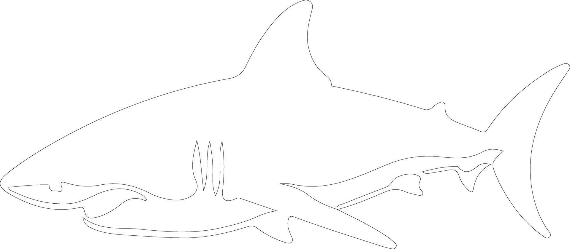 genial blanco tiburón contorno silueta vector
