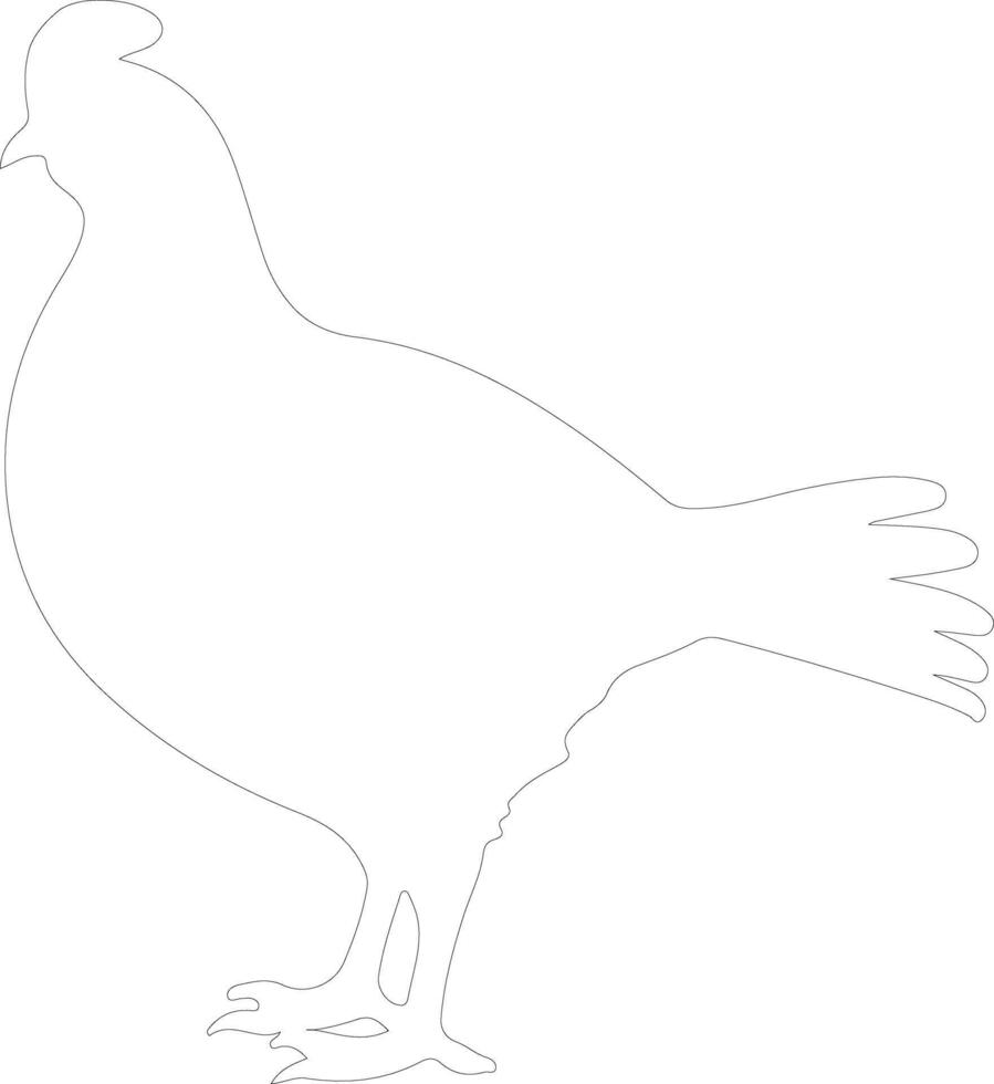 grouse  outline silhouette vector