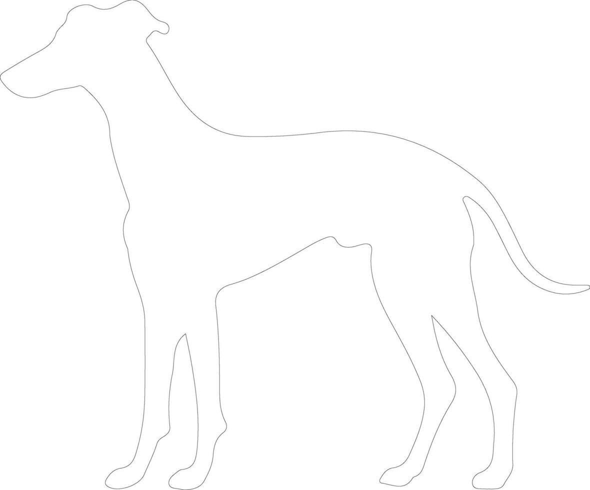 galgo contorno silueta vector