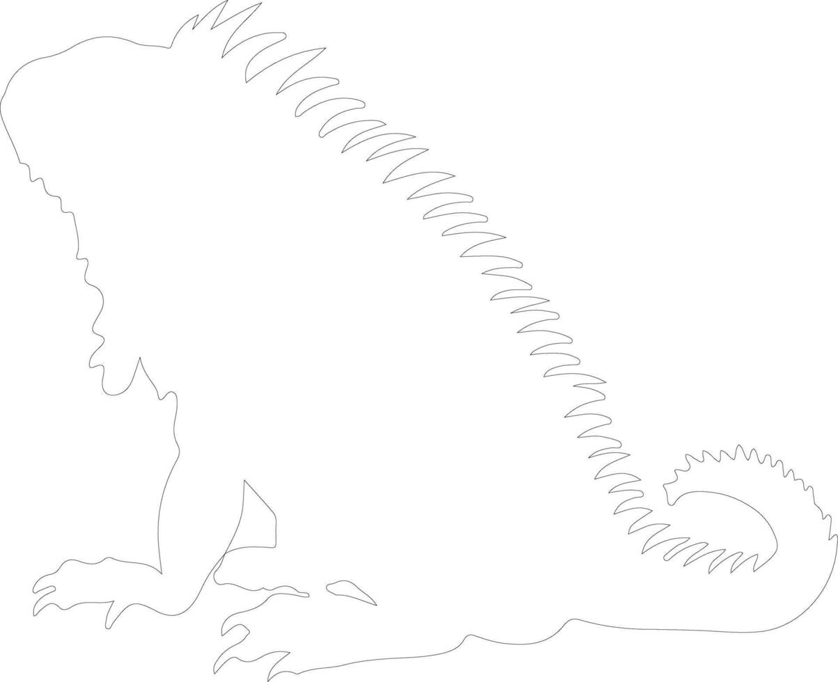 green iguana  outline silhouette vector