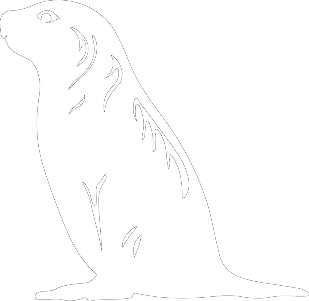 harp seal  outline silhouette vector