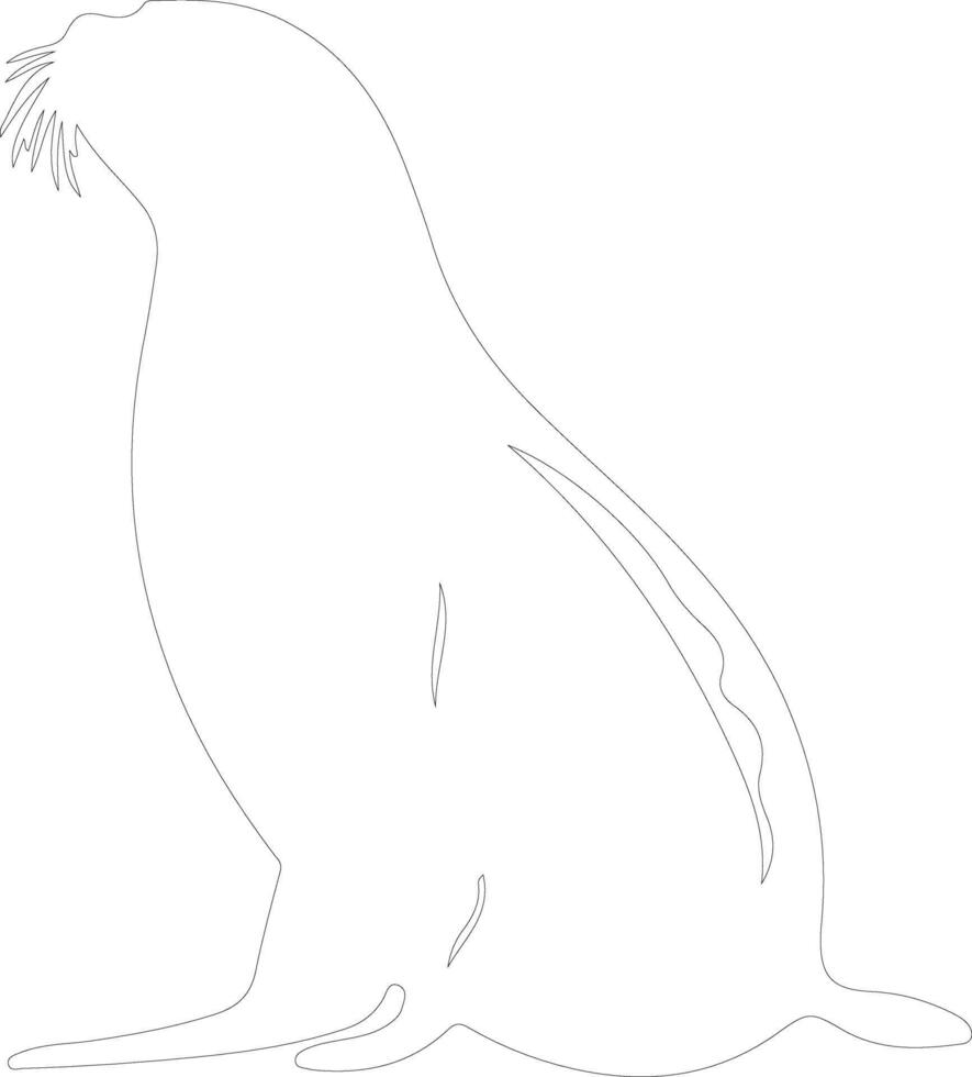harp seal  outline silhouette vector