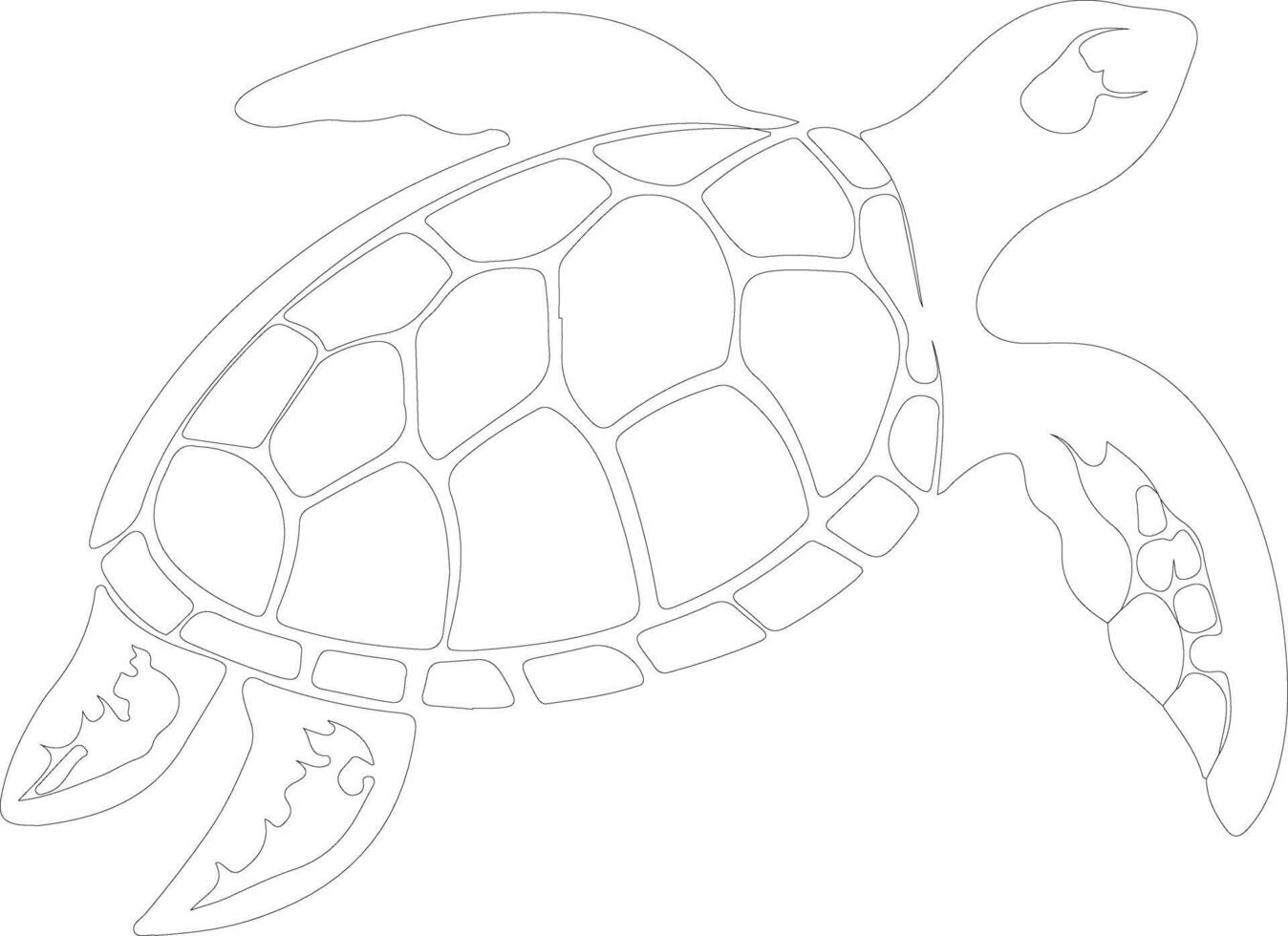 necio Tortuga contorno silueta vector