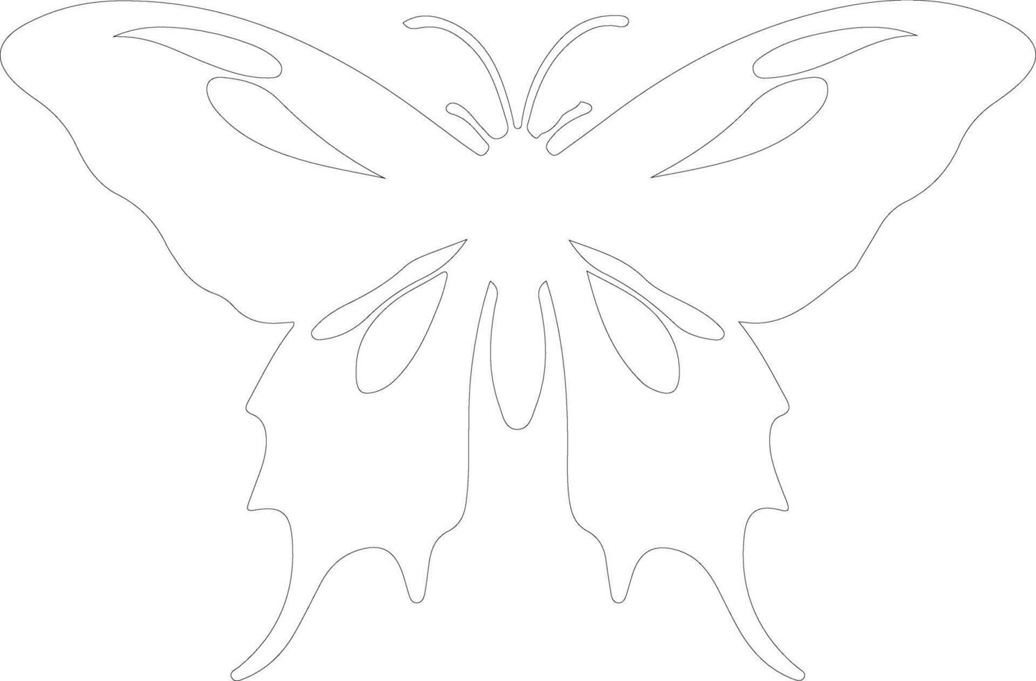luna moth  outline silhouette vector