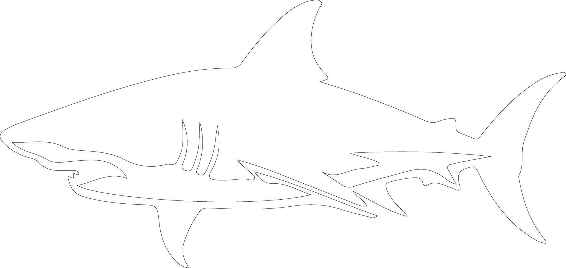 luminous shark outline silhouette vector
