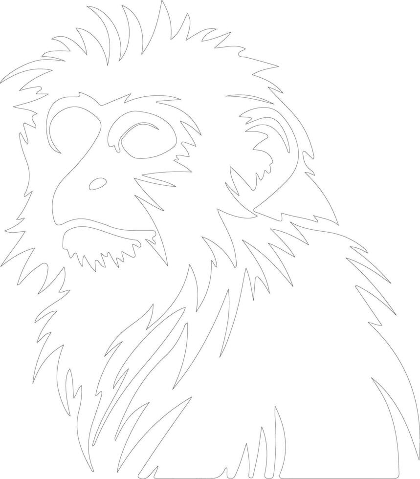 marmoset  outline silhouette vector