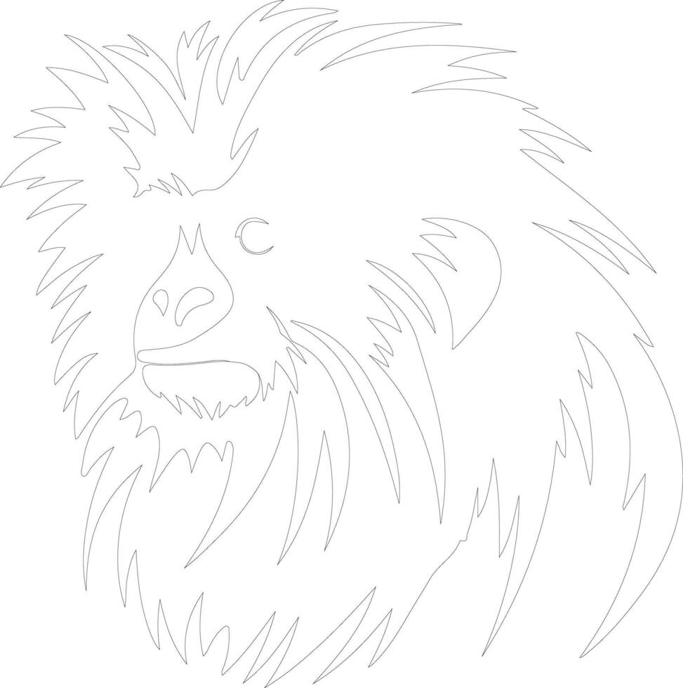 marmoset  outline silhouette vector