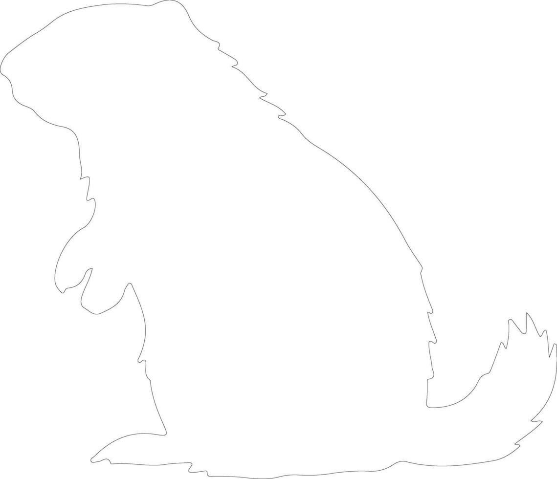 marmot  outline silhouette vector