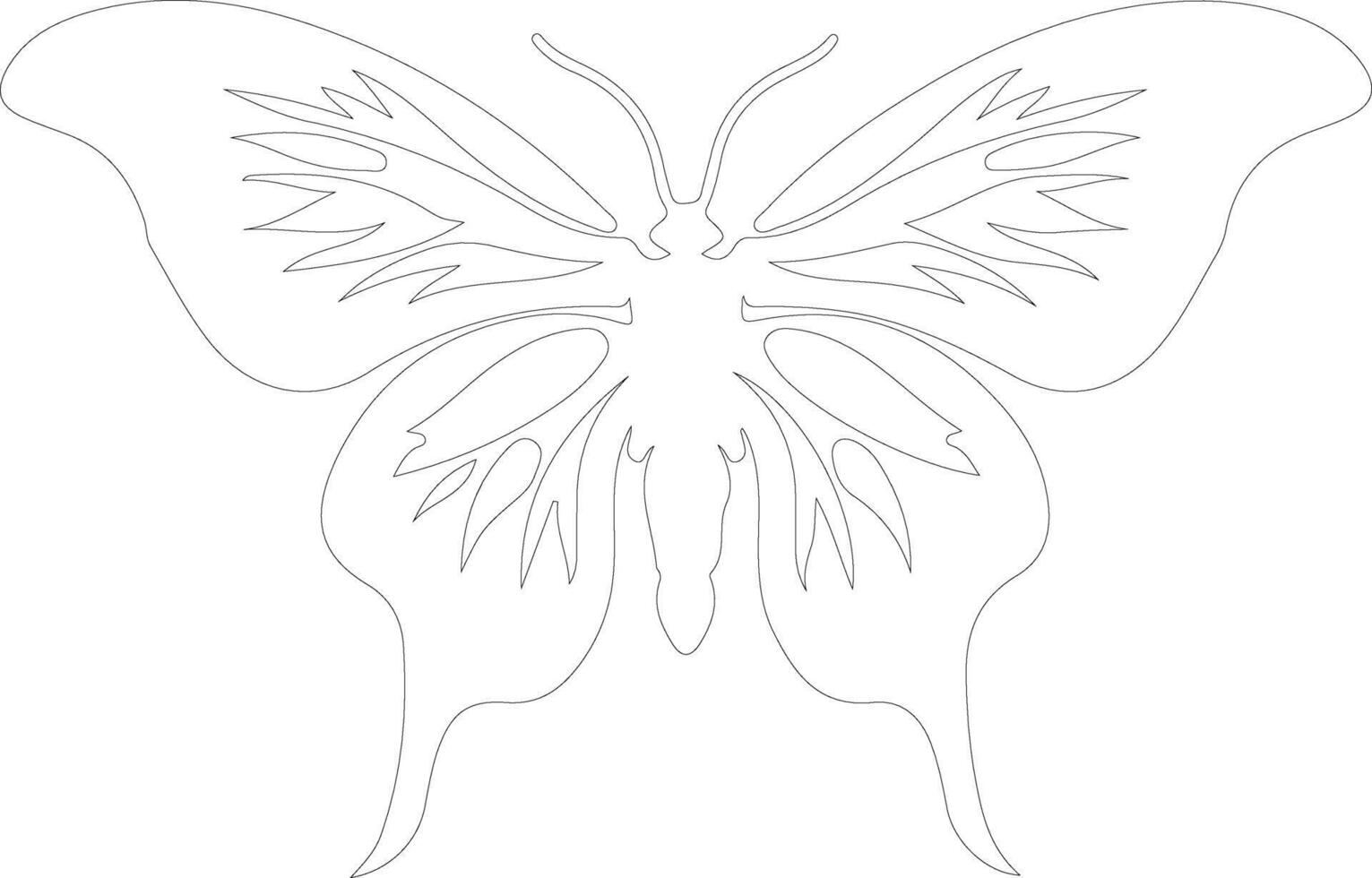 moth  outline silhouette vector