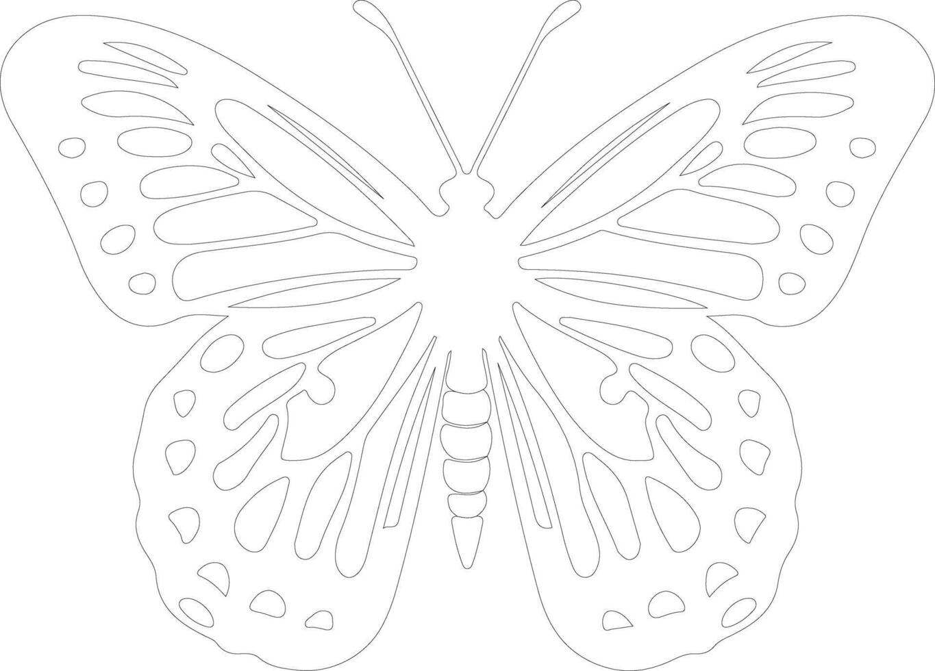 Oregon silverspot butterfly  outline silhouette vector